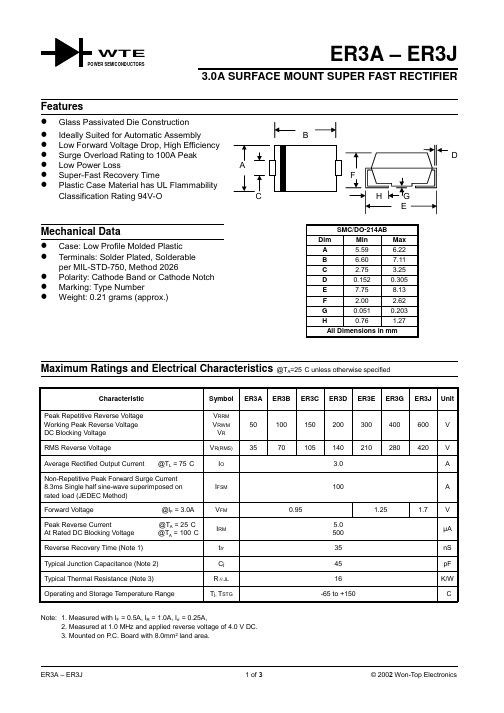 ER3B-T3中文资料