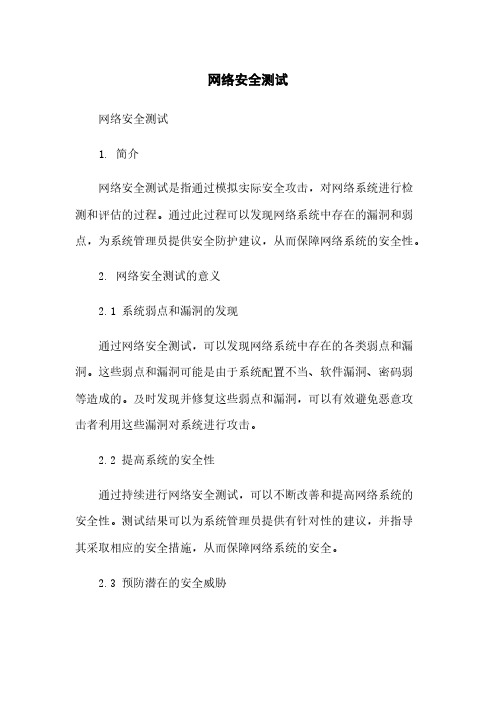 网络安全测试