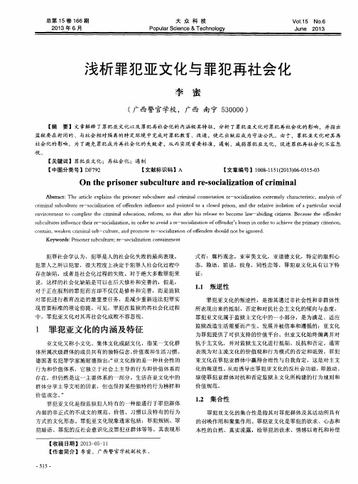 浅析罪犯亚文化与罪犯再社会化