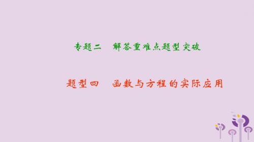 中考数学二轮复习专题二解答重难点题型突破题型四函数与方程的实际应用课件