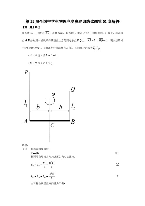 第35届全国中学生物理竞赛决赛训练试题第01套-解答v1