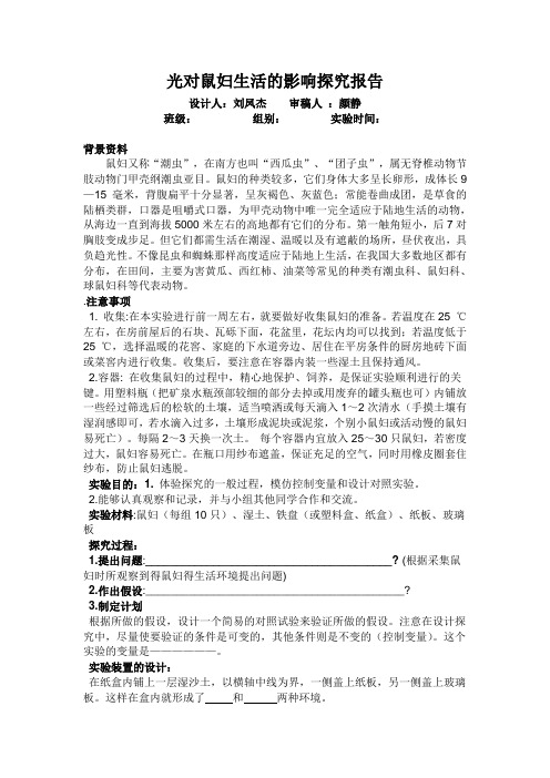 光对鼠妇生活的影响实验报告