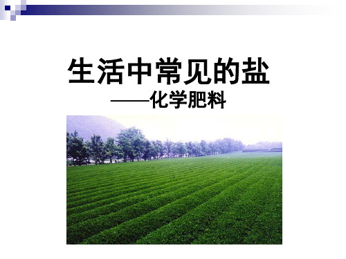 沪教版初中化学九下生活中常见的盐化学肥料