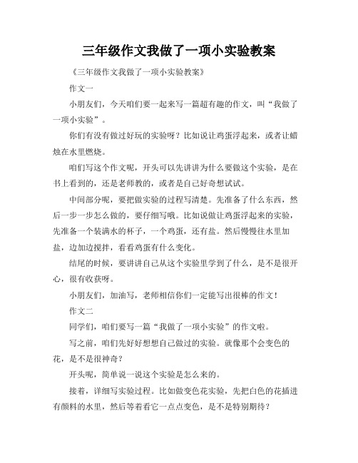 三年级作文我做了一项小实验教案