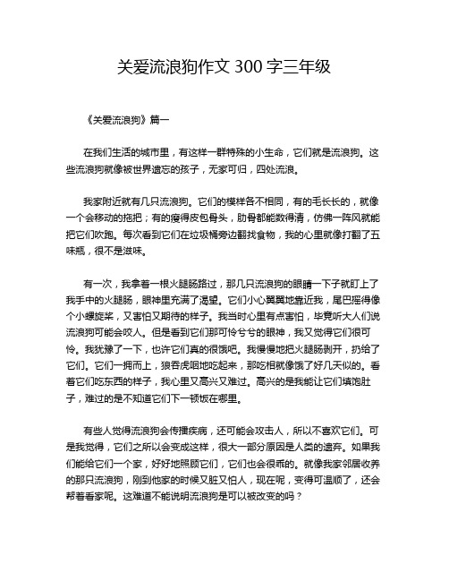 关爱流浪狗作文300字三年级