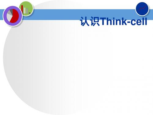 认识Think-cell 共31页