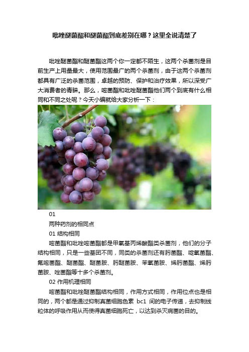 吡唑醚菌酯和醚菌酯到底差别在哪？这里全说清楚了