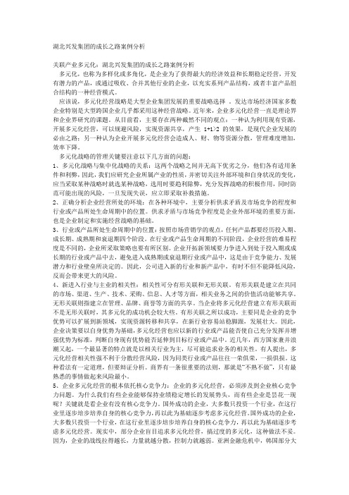 湖北兴发集团的成长之路案例分析