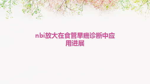 NBI放大在食管早癌诊断中应用进展PPT课件