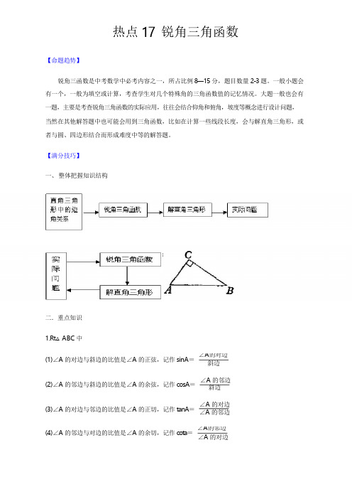 中考数学热点专练17 锐角三角函数