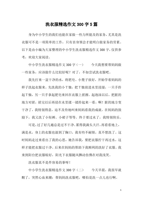 洗衣服精选作文300字5篇