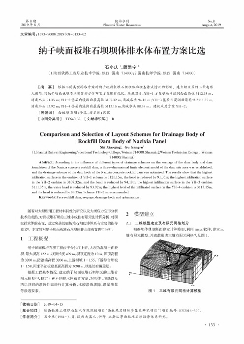 纳子峡面板堆石坝坝体排水体布置方案比选