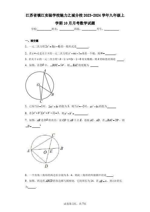 江苏省镇江实验学校魅力之城分校2023-2024学年九年级上学期10月月考数学试题