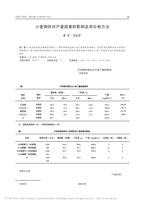 小麦倒伏对产量因素的影响及其补救方法