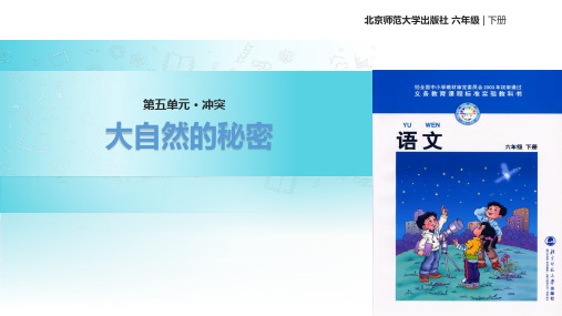 (赛课课件)六年级下册语文《大自然的秘密》 (共29张PPT)