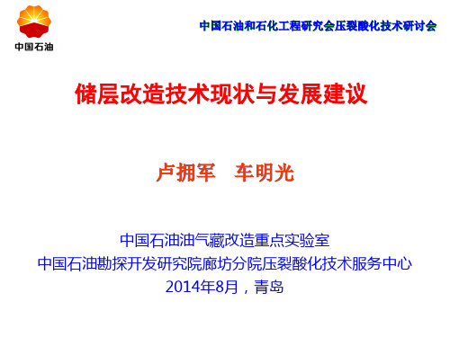 储层改造技术现状与发展建议 