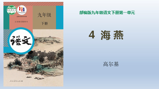 九年级下册 第一单元 4 海燕 课件(共26张ppt)