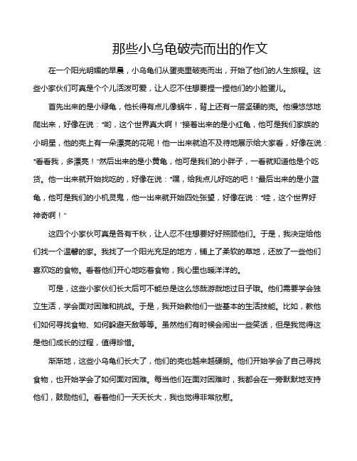 那些小乌龟破壳而出的作文