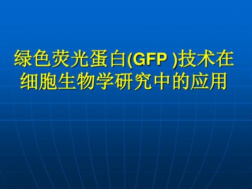 绿色荧光蛋白(GFP)技术在细胞生物学研究中的应用