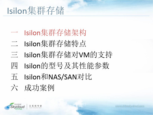 Isilon集群存储