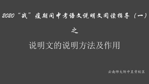 中考语文说明文阅读训练指导之说明文的说明方法(课件44张)