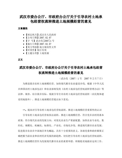 武汉市委办公厅、市政府办公厅关于引导农村土地承包经营权流转推进土地规模经营的意见