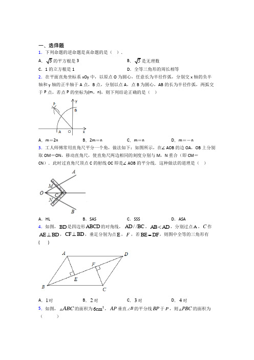 深圳中学八年级数学上册第二单元《全等三角形》检测卷(包含答案解析)