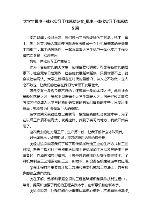 大学生机电一体化实习工作总结范文_机电一体化实习工作总结5篇