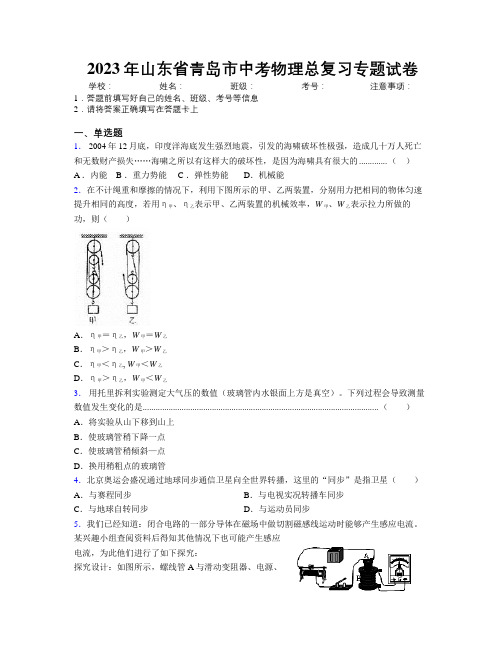 2023年山东省青岛市中考物理总复习专题试卷及解析