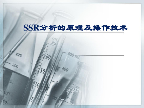 SSR分析的原理及操作技术报告