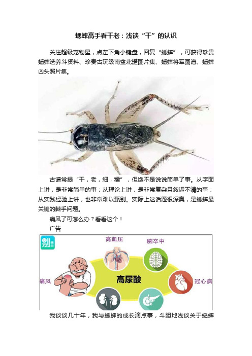 蟋蟀高手看干老：浅谈“干”的认识