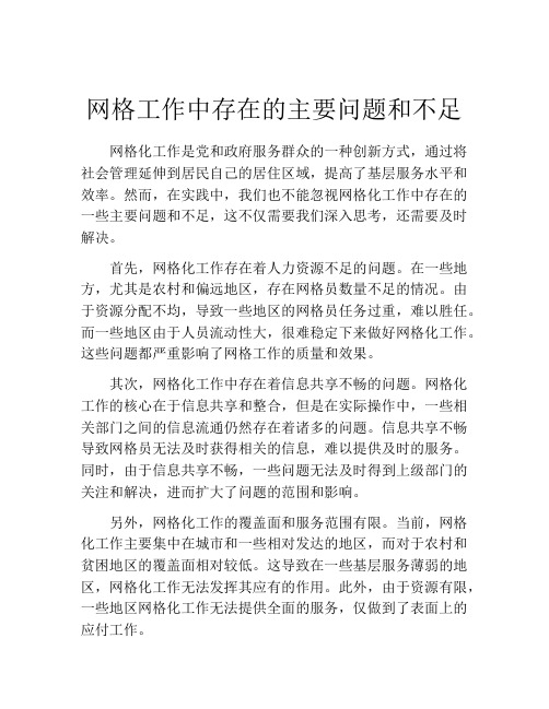 网格工作中存在的主要问题和不足