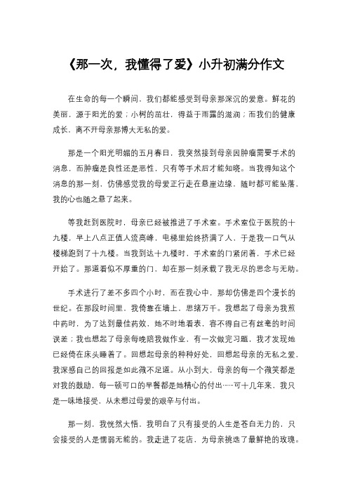 《那一次,我懂得了爱》小升初满分作文