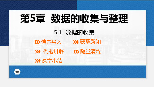 5.1 数据的收集 课件 (共21张PPT)2024-2025学年沪科版(2024)数学七年级上册