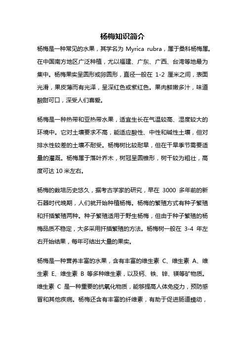 杨梅知识简介