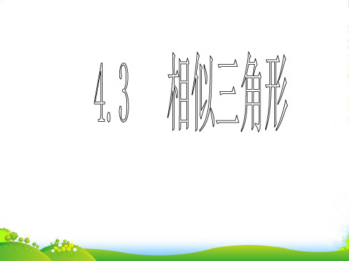 新浙教版九年级数学上册《 相似三角形》精品课件