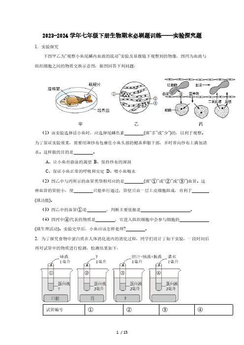 2023-2024学年七年级下册生物期末必刷题训练——实验探究题(含答案)