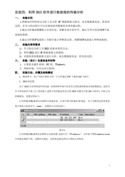 利用IRIS软件进行数据报的传输分析