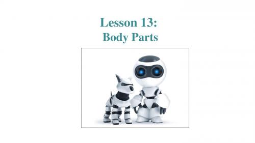 冀教版七年级英语上册  Unit 3 Lesson 13 Body Parts   (共16张PPT)