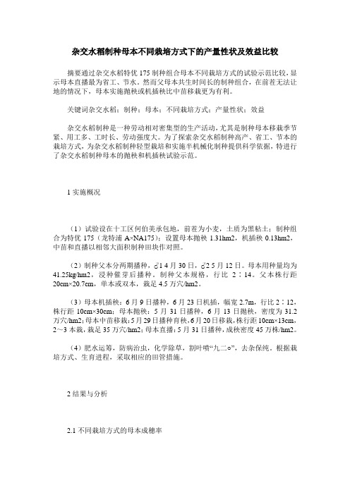 杂交水稻制种母本不同栽培方式下的产量性状及效益比较