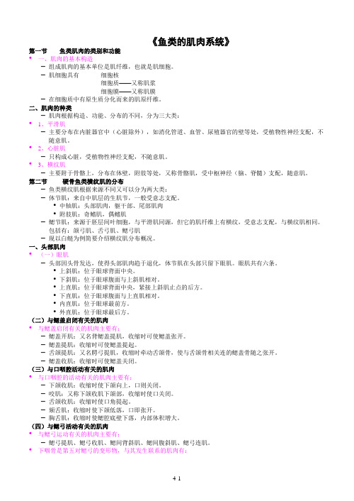 《鱼类的肌肉系统》