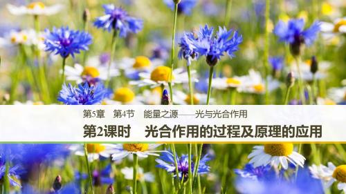 2019学年步步高人教版生物必修一课件:5.4.2-5.4.3 光合作用的过程及原理的应用(步步高)