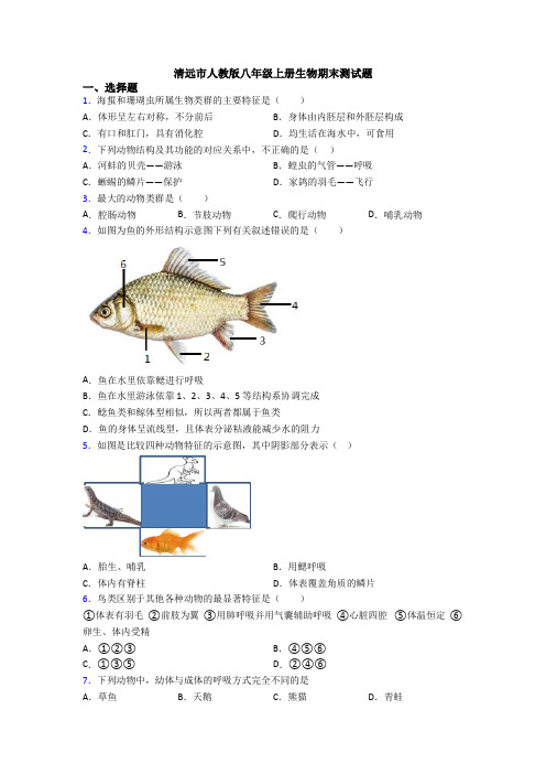 清远市人教版八年级上册生物期末测试题