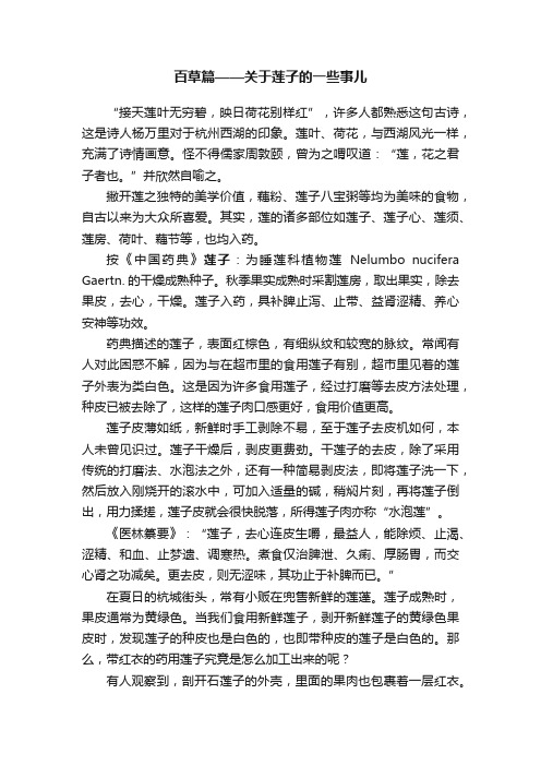 百草篇——关于莲子的一些事儿