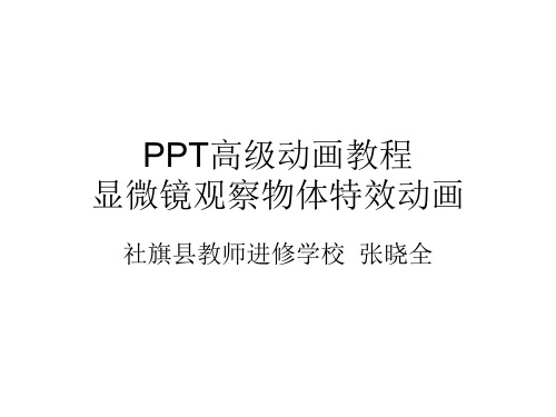 PPT高级动画教程:显微镜观察物体特效动画