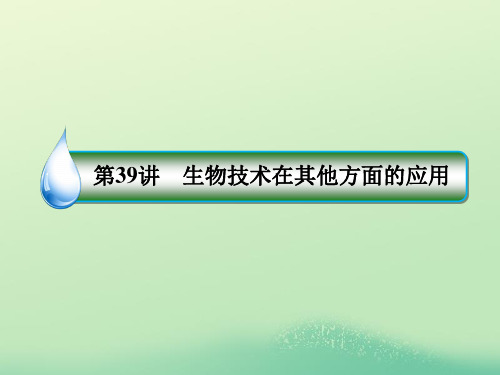 高考生物一轮复习211039生物技术在其他方面的应用课件