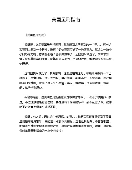 美国量刑指南