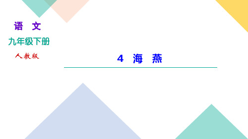 九年级下册语文人教版习题课件 第一单元 4 海 燕