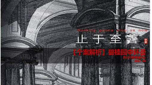 2018成都碧桂园中环荟营销策略方案