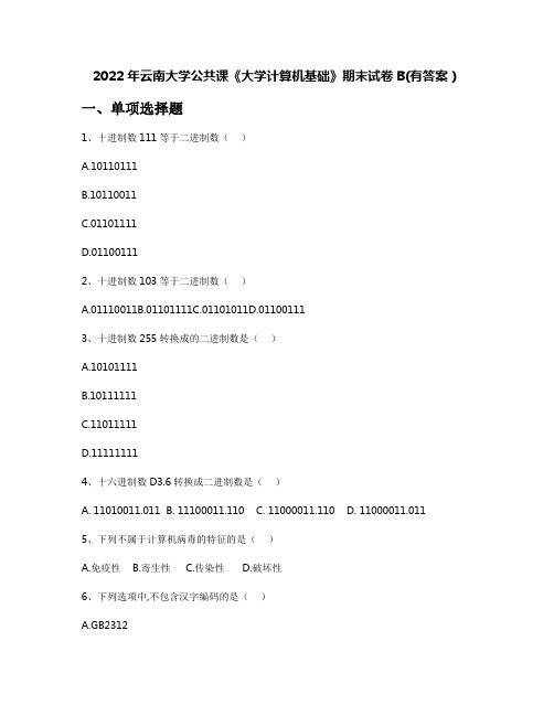 2022年云南大学公共课《大学计算机基础》期末试卷B(有答案)